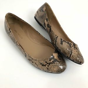😎ANN TAYLOR Faux Brown Snakeskin Flats - 5 1/2M